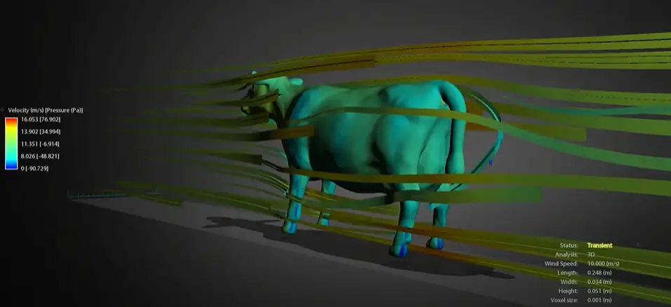 Aerodynamic Of A Cow
